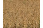 Property photo 44 - 110+/- Acres offered in 4 Tillable Tracts